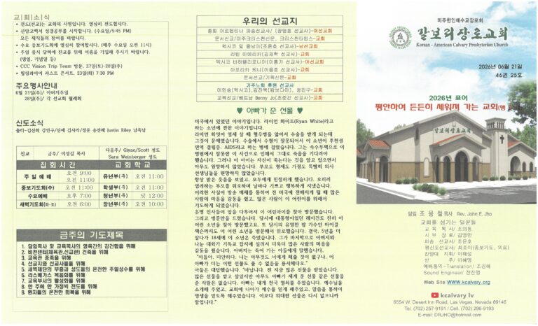 2026.6.21 주보