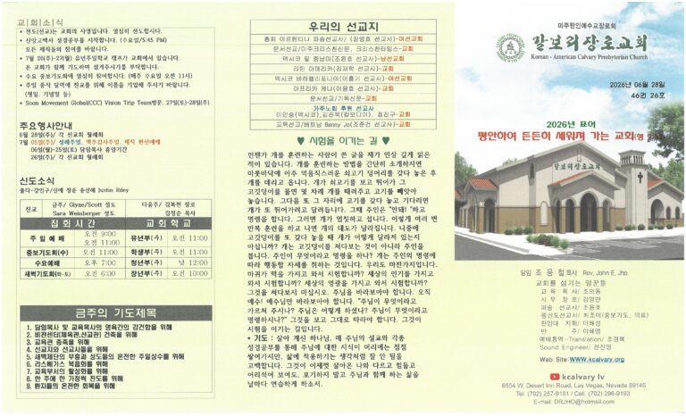 2026.6.28 주보